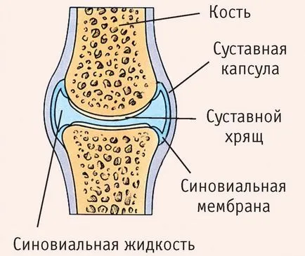 Причини за течност в колянната става и лечения