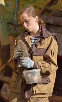 перспективи за работа за всеки зоолог кариера - IL-момиче - красота и лайфстайл - Ил дьо Beauté -