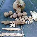 Szétszerelés Minelab go-találják, hogy belül 40