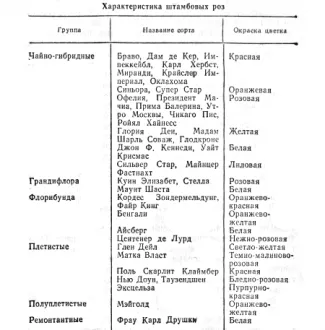 A szaporodási szabvány rózsák