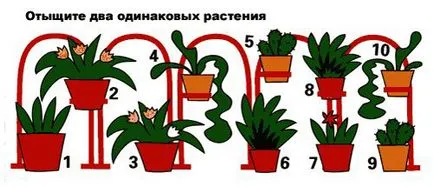 Разработване на внимание - играта, развитието и възпитанието на децата от 3 до 7 години