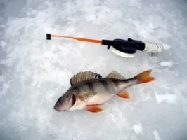 Домашна въдица за зимен риболов - със собствените си ръце