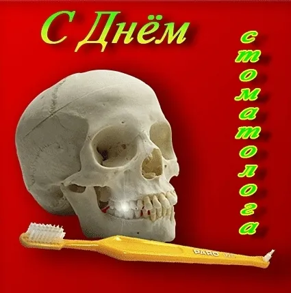 Честит зъболекар! Зъболечение - новини и статии за стоматология - професионално