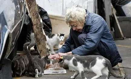 Együttérző, jó vagy rossz, mi a szó előtti