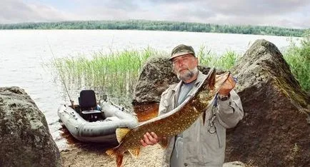 Főzés halak a természetben - halételek, receptek