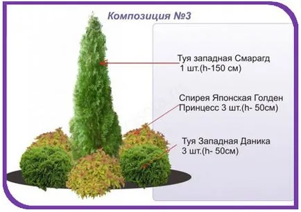 Завършен пейзаж състав, студио височина 