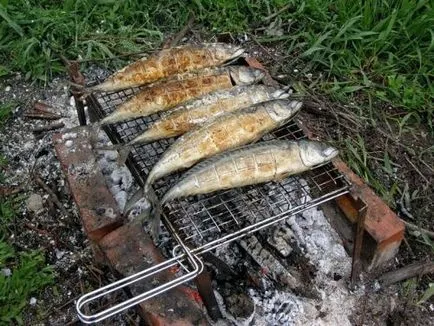 Főzés halak a természetben - halételek, receptek