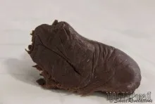 brioșe de ciocolată cu trandafiri din ciocolata macterskaya mastic