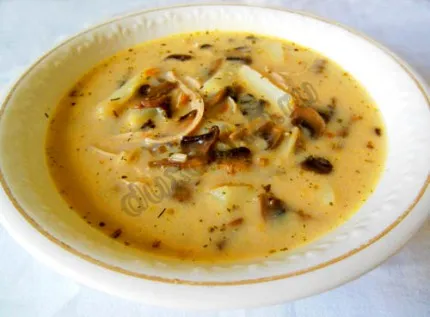 Sajt leves csirkével és gombával - recept lépésről lépésre fotók