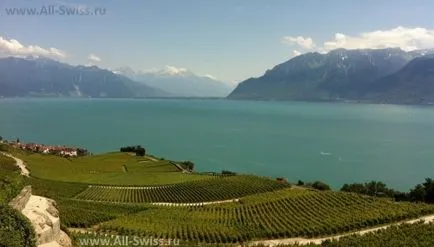 Швейцарската ривиера, ривиера vaudoise, Швейцария
