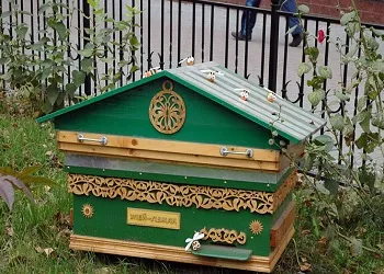 Съдържанието на пчелите в шезлонгите