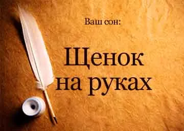 Мечта резервирате кученце в ръцете си една малка черна жена в съня си, за да видите