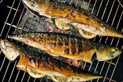 Makréla a grill - a legjobb halétel, amely alternatívát kínál a hús