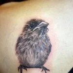 Sparrow tetoválás 7 értékeket, 76 kép és vázlatok a legjobb