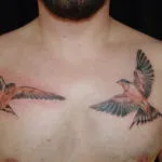 Sparrow татуировка 7 ценности, 76 снимки и скици от най-добрите