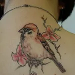 Sparrow tatuaj 7 valori, 76 de fotografii și schițe de cele mai bune