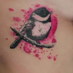 Sparrow Tattoo - modele valoare tatuaj și fotografii