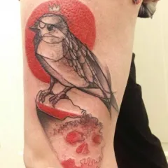 Sparrow Tattoo - modele valoare tatuaj și fotografii