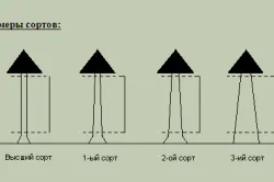 Tabel pentru calcularea cilindreea exemple de calcul lemn rotund