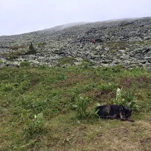 Secretele de Mount Iremel în Bashkiria