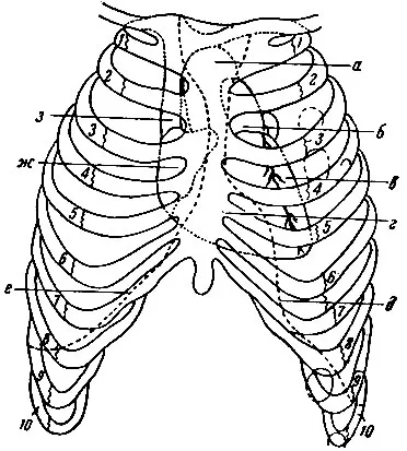 Topografie Heart 1970 Gusev și