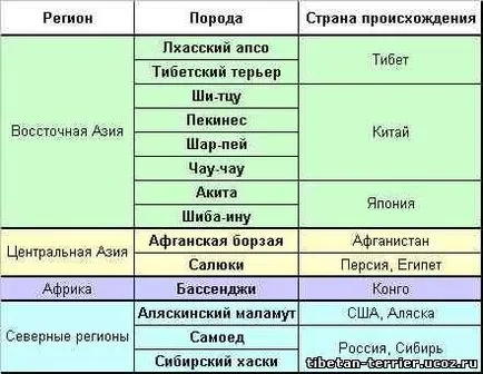 Дългокосмести тибетски Apso един от най-старите породи кучета, на земята