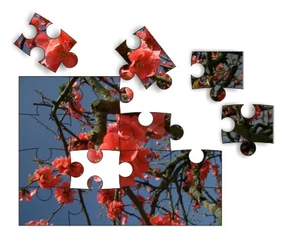 Corel Draw órák létrehozására puzzle hatása a semmiből - szoftverek