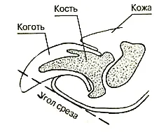 Care karom és láb