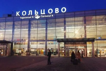 În Ekaterinburg Animatoare aeroport aruncat congelare câine