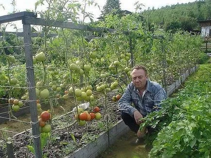 Igor Liadov az ő szokatlan kert