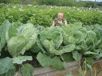 Igor Liadov az ő szokatlan kert