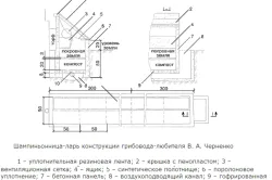 Отглеждане манатарки начини препоръки