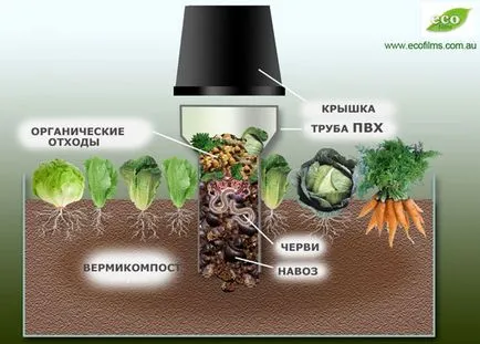 Vermikomposter Tower - vermicompost на легло с една проста vermikompostera