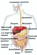 Detoxifică narmed, sănătate și zdorovoepitanie