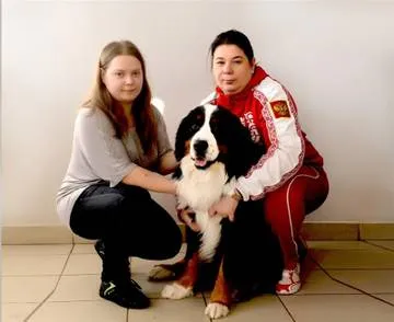 Facilități de manipulare - Dog Center - lea