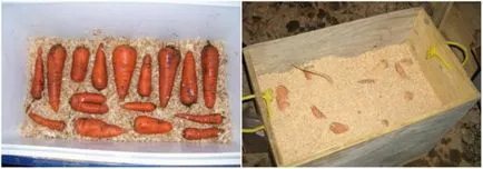Съхраняване на моркови в дома за зимата