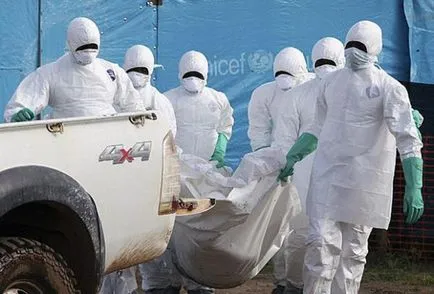 Horadka Ebola în lume și în Africa o revizuire a faptelor bolii