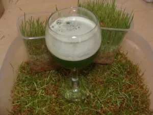 cocktail verde din germeni de grau