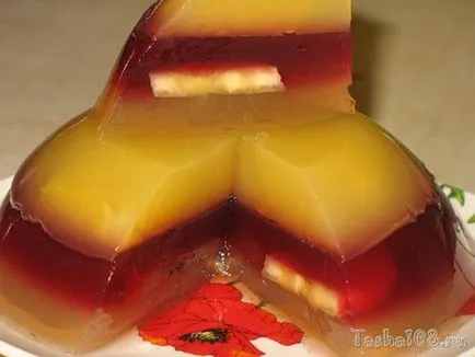 Jelly agar - păpădie viață