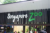 Зоопарк Сингапур (Сингапур зоопарк)