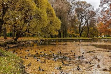 Zoo în București, ore de lucru, pret 2017