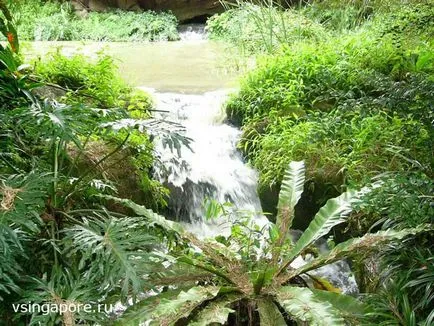 Singapore Zoo