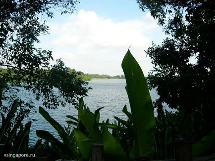 Singapore Zoo