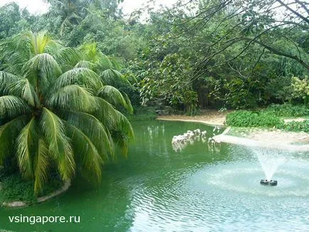 Singapore Zoo