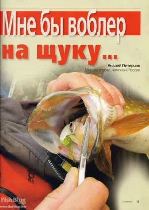 10 kérdés a csuka - Online újság a halászat