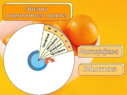 10 клас изходното Максимов л