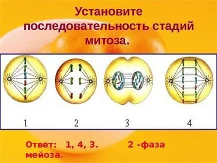 10 Clasa de bază Maksimov l