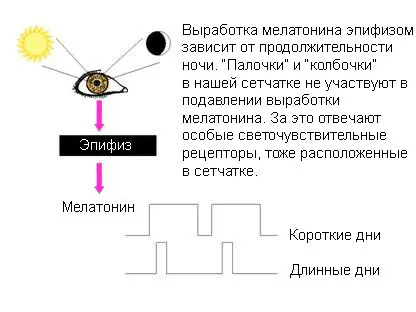 Biohaking сън съвет потвърждава и от науката, забавления портал