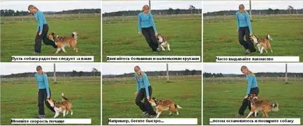 Alapképzéssel reagálókészséget Dzhenni Damm, kutya