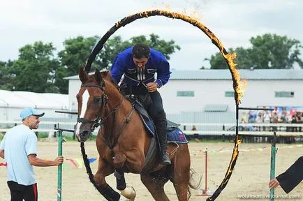 Campionatul de echitatie truc (34 poze) - triniksi